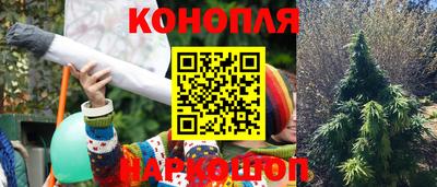 СК Конаково